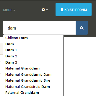 Search field Using Search