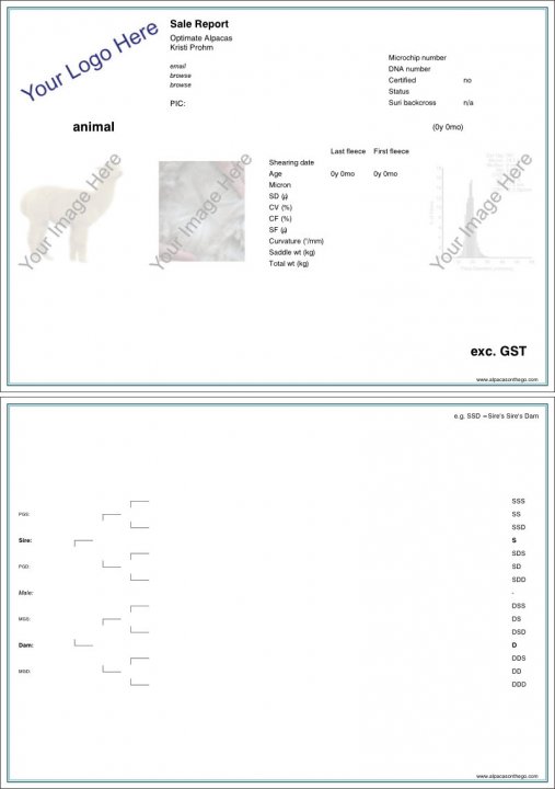 Sale Report: Before How to Make a Marketing/Sale Report